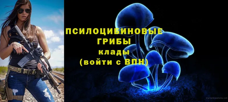 Галлюциногенные грибы Psilocybine cubensis  Клин 